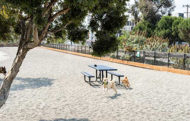 Pet-Friendly Apartment Community at Mission Bay by Windsor, 360 Berry Street, San Francisco