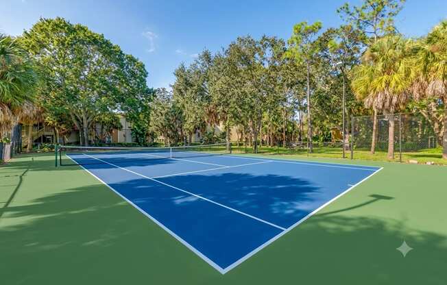 A tennis court surrounded by trees on a sunny day.