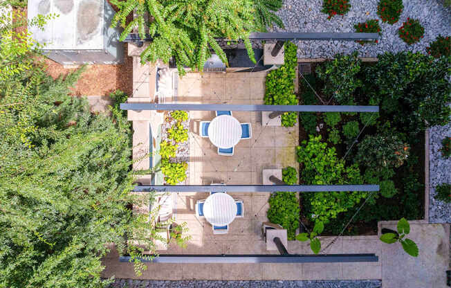 A patio with a table surrounded by trees.