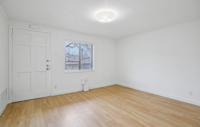 1 bed, 1 bath, 530 sqft, $1,349, Unit PPLA-205