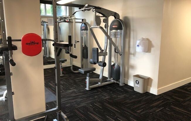 1 bed, 1 bath, 737 sqft, $1,795, Unit 302