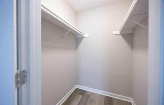 A white closet with a door open and a carpeted floor.