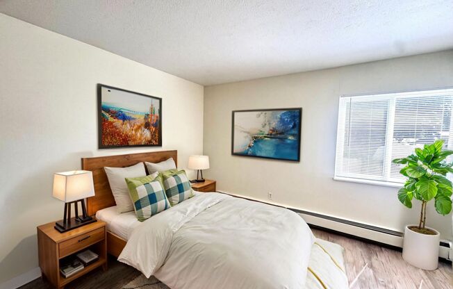 1 bed, 1 bath, 500 sqft, $799, Unit Unit 303