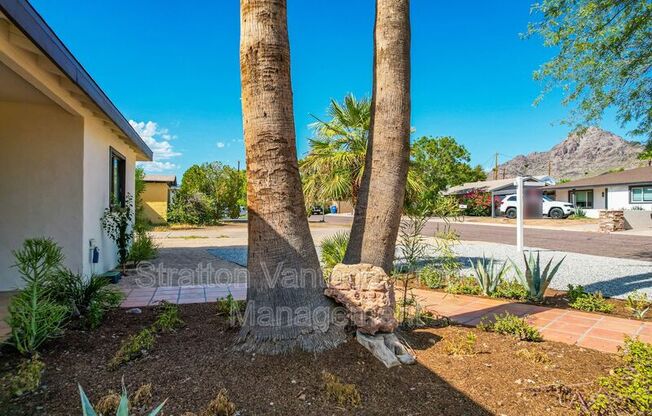 6628 N 19 ST