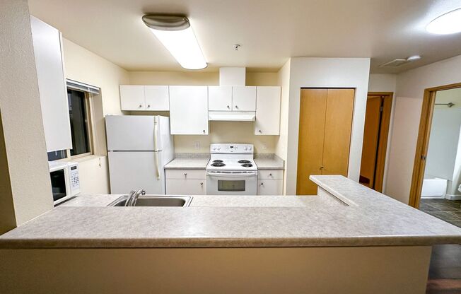 1 bed, 1 bath, 510 sqft, $1,975, Unit 303