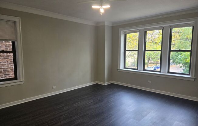 Studio, 1 bath, 250 sqft, $1,100, Unit 301