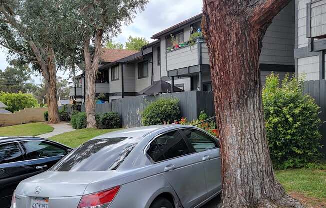 Apartment buildings surrounded by hills and mature trees at Dove Ridge Apartments.