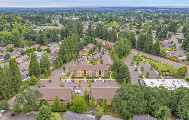 Your Sanctuary in South Salem - Privacy Gates, Lush Landscapes, and Tranquil Fountains