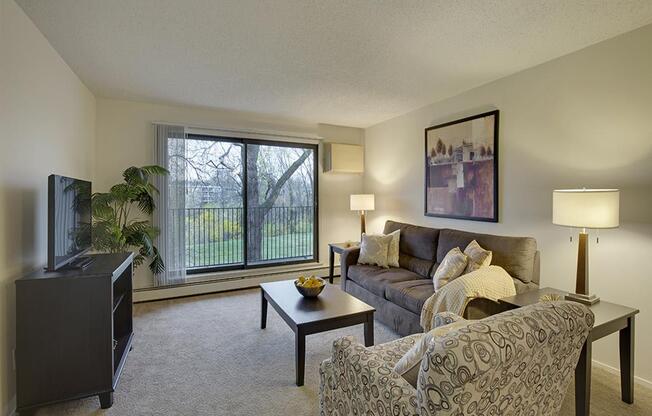 Willow Pond Apartments in Burnsville, MN Living Room