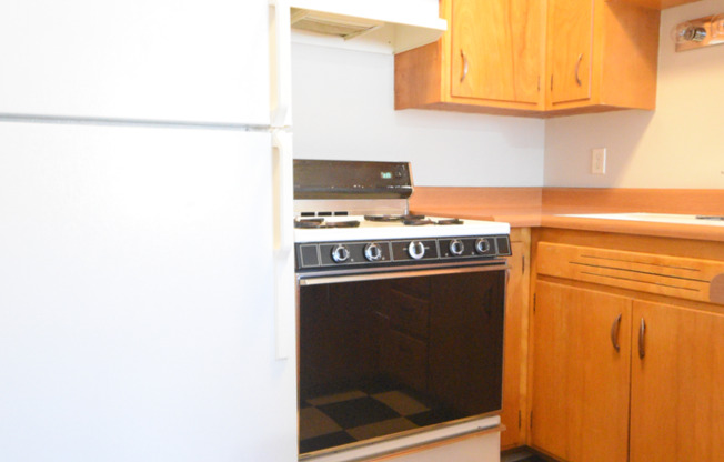 1 bed, 1 bath, 550 sqft, $955, Unit 1907-202