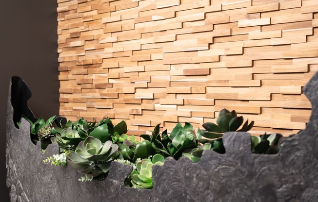 a succulent garden in front of a brick wall