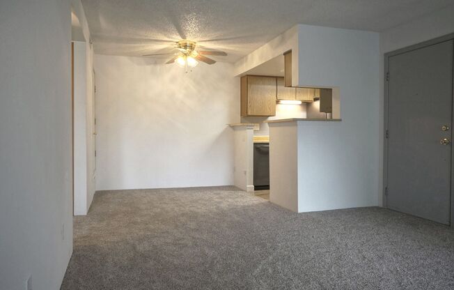 1 bed, 1 bath, $1,300, Unit #A202