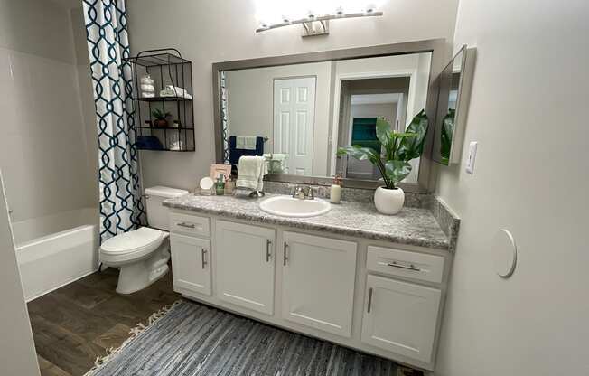 beautiful bathroom at Palmetto Place, South Carolina, 29708