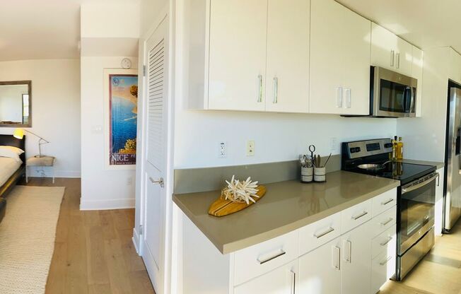 Studio, 1 bath, 489 sqft, $6,000, Unit A105