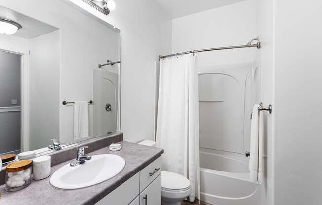 Bright Bathroom in Phase I TH at Parc at Day Dairy