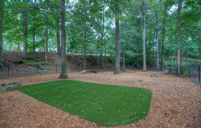 Lullwater at Bass | Bark Park