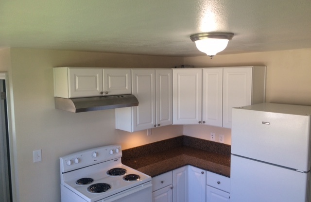 Newly remodeled Kitchen 3bed/2bath in Shadle area