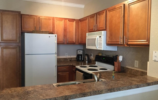 FULLY FURNISHED 1/1 in Serenata