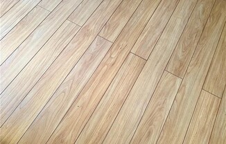 10291 Delta View