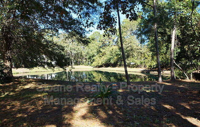 458 PLANTERS TRCE DR