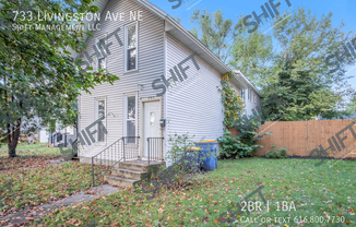 733 LIVINGSTON AVE NE