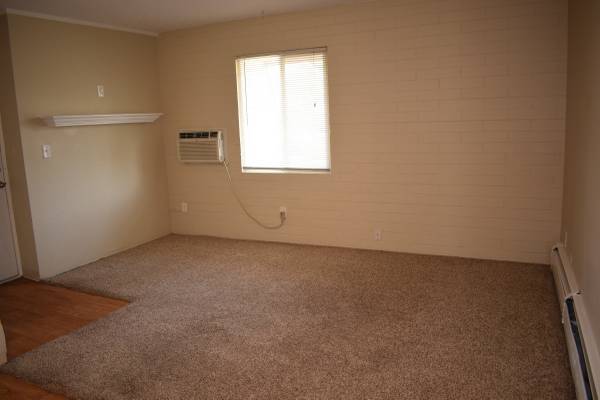 1 bed, 1 bath, 600 sqft, $1,300