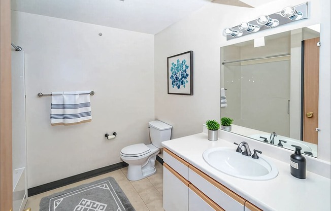 A bathroom with a toilet, sink, and mirror.