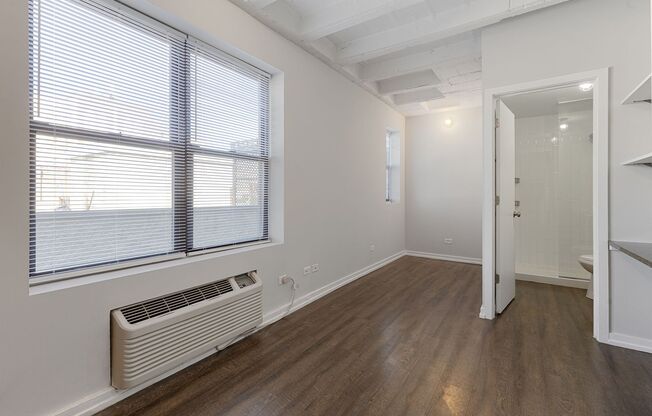 Studio, 1 bath, 172 sqft, $1,350, Unit 409
