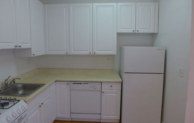 1 bed, 1 bath, 625 sqft, $1,450, Unit 309