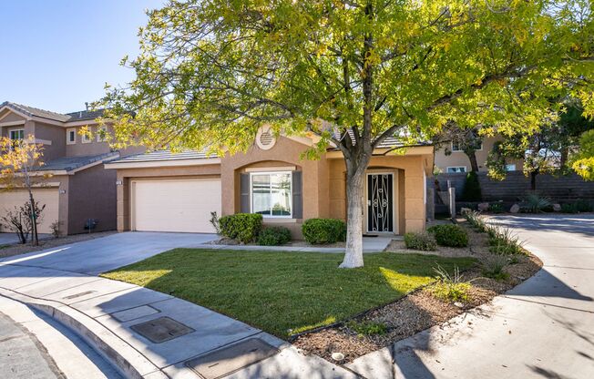 SUMMERLIN BEAUTY*UPGRADED*COMMUNITY POOL*3 BEDROOMS*STAINLESS STEEL APPLIANCES*