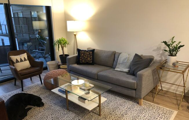 Studio, 1 bath, 632 sqft, $1,505, Unit 509