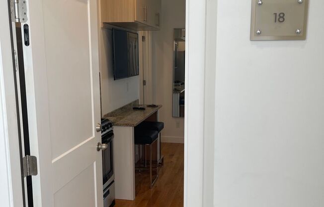 Studio, 1 bath, $1,550, Unit 16-18