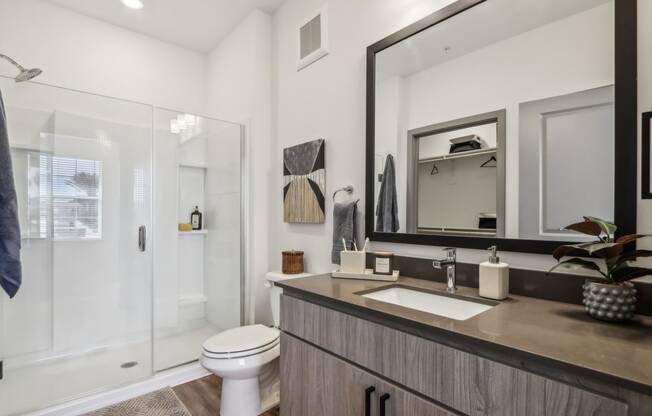 a bathroom with a sink and a toilet and a shower at Stella, San Tan Valley Arizona