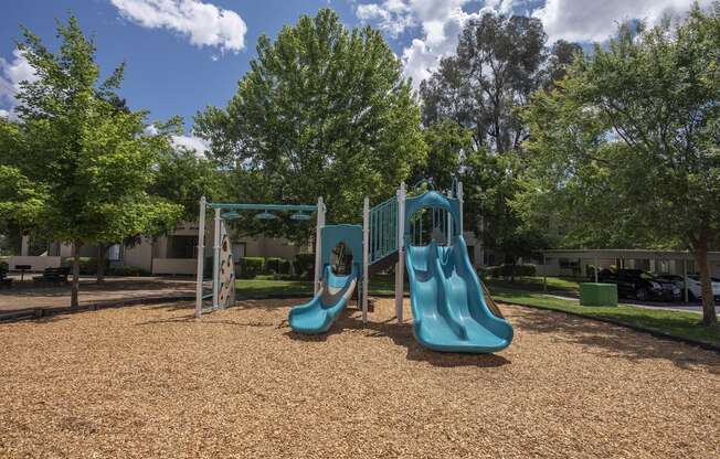 Autumn Oaks Playground Slide View