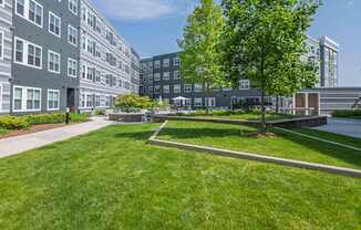 A tree in a grassy area in front of a building.