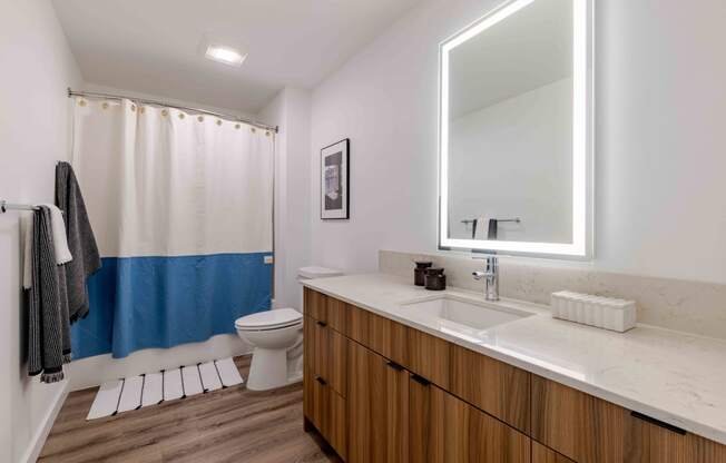 a bathroom with a sink and a toilet and a mirror