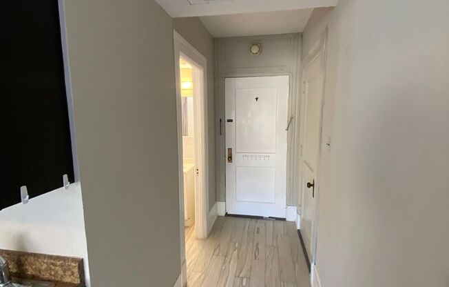 Studio, 1 bath, $1,125, Unit #1111