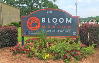 Bloom at Morrow