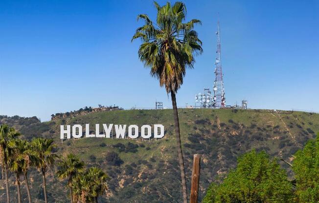 1 bed, 1 bath, 2,308 sqft, $5,600, Unit 232