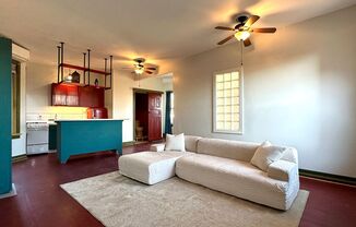 Great Pilsen space - One bedroom newly redone.