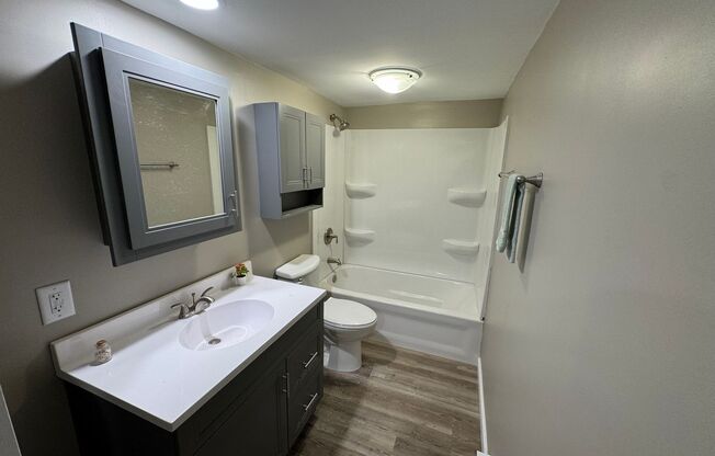 Studio, 1 bath, $760