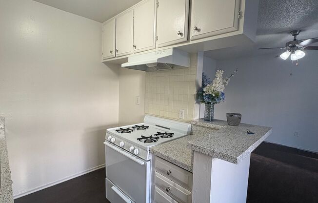 1 bed, 1 bath, 675 sqft, $1,645, Unit 16