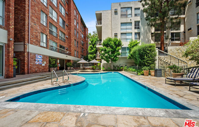 Studio, 1 bath, 407 sqft, $2,600, Unit 225