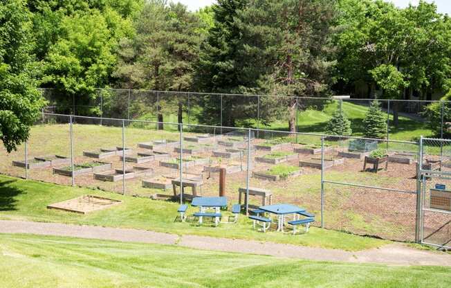 Community garden in Eden Prairie, MN