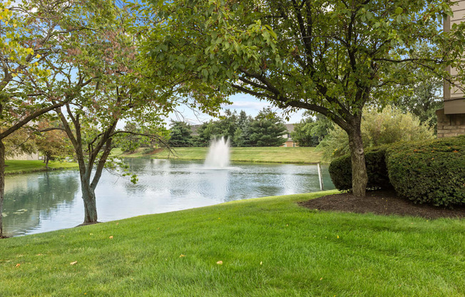 Water View With Fount