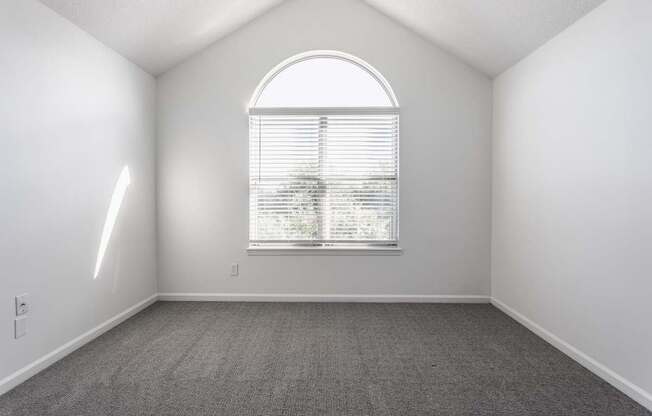 A room with a window and a carpeted floor.