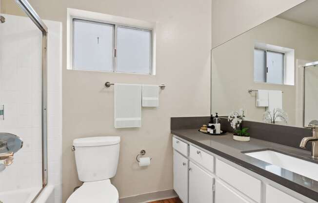 a bathroom with a toilet and a sink and a shower