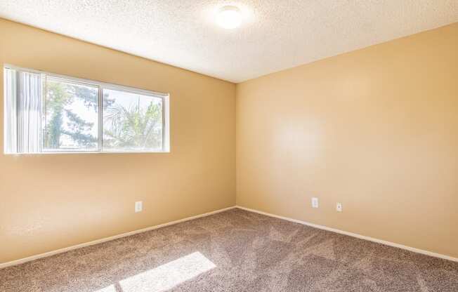 an empty room with carpet and a window