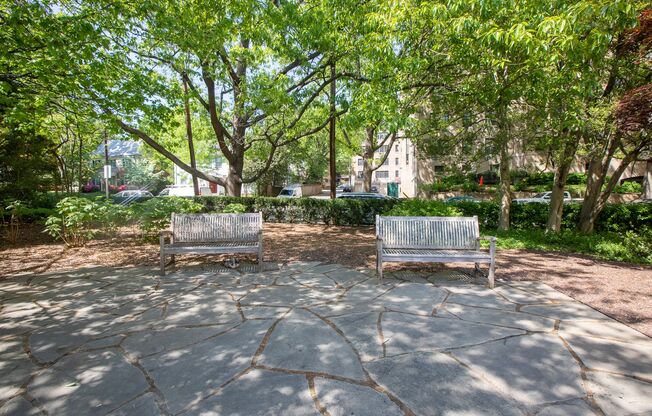 Amazing 3 BR/2 BA Condo in Wakefield!