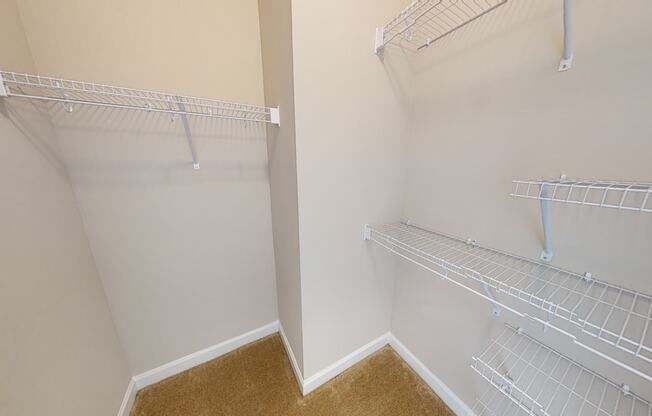 Walk-In Closet with multiple shelves